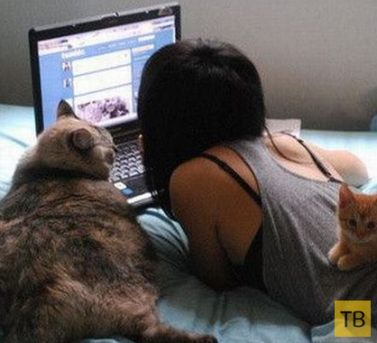 ������� ������� � ��������� �������� (45 ����)