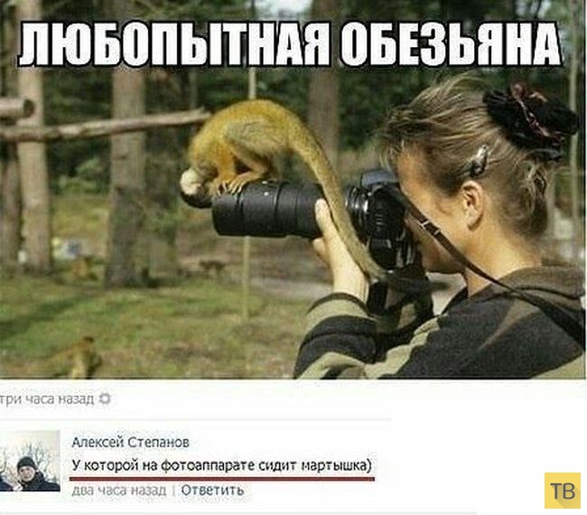 ���������� ����������� �� ���������� �����, ����� 204 (24 ����)