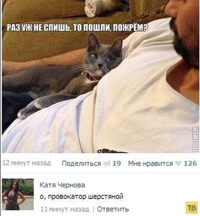 ���������� ����������� �� ���������� �����, ����� 204 (24 ����)