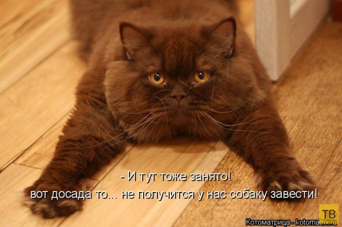 ������ ����������� ������, ����� 2 (51 ����)