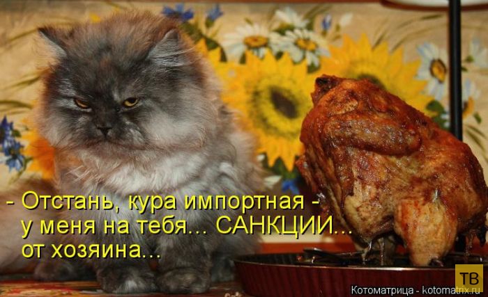 ������ ����������� ������, ����� 2 (51 ����)