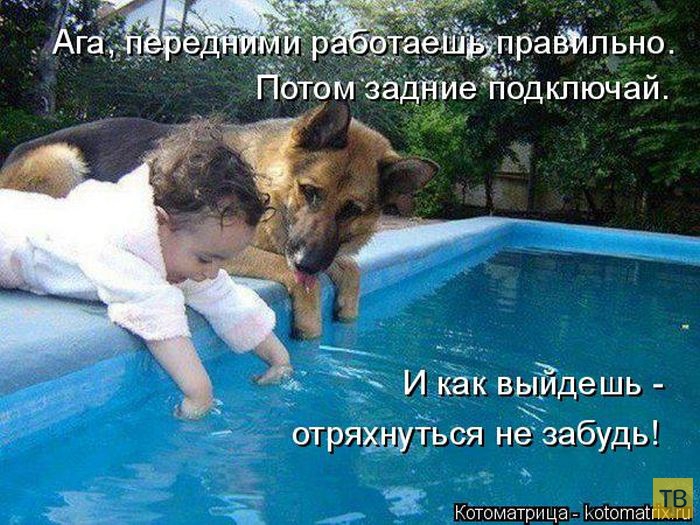 ������ ����������� ������, ����� 2 (51 ����)