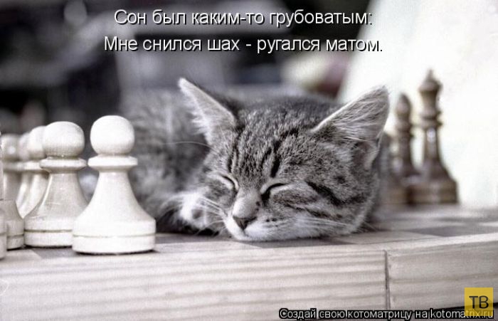 ������ ����������� ������, ����� 2 (51 ����)