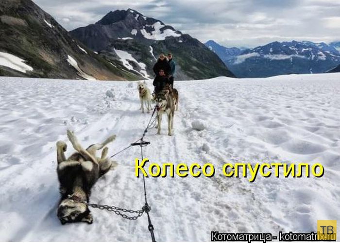 ������ ����������� ������, ����� 2 (51 ����)