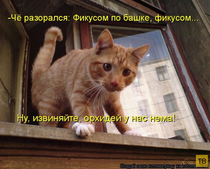 ������ ����������� ������, ����� 2 (51 ����)