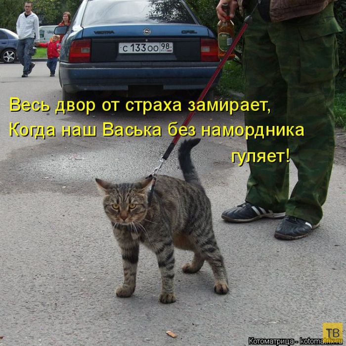 ������ ����������� ������, ����� 2 (51 ����)