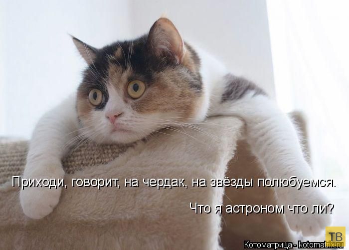 ������ ����������� ������, ����� 2 (51 ����)