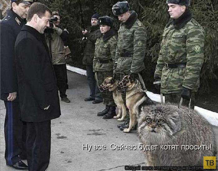 ������ ����������� ������, ����� 2 (51 ����)