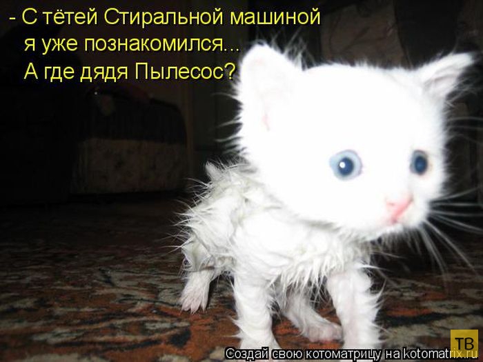 ������ ����������� ������, ����� 2 (51 ����)