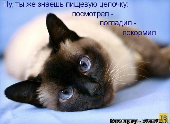 ������ ����������� ������, ����� 2 (51 ����)