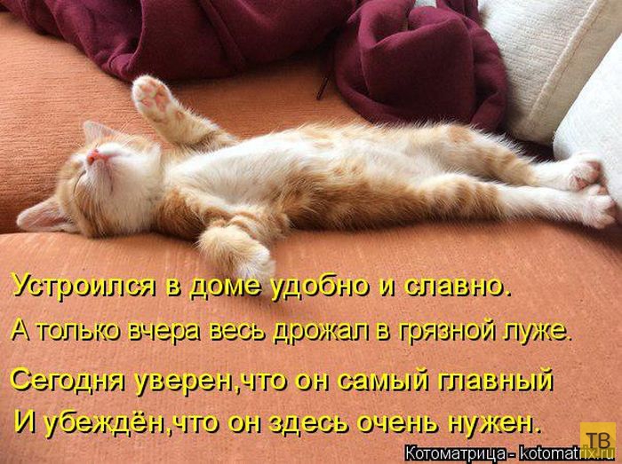 ������ ����������� ������, ����� 2 (51 ����)