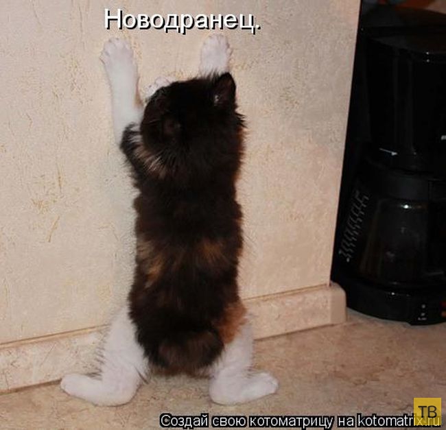 ������ ����������� ������, ����� 2 (51 ����)