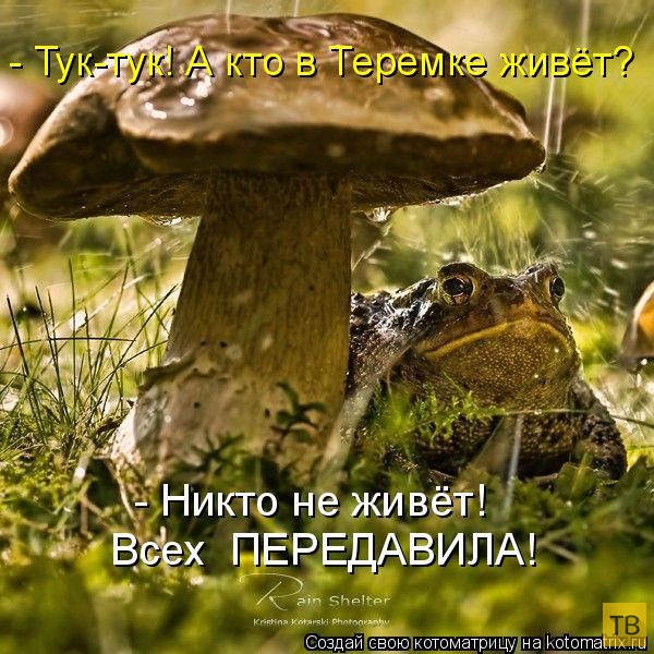 ������ ����������� ������, ����� 2 (51 ����)