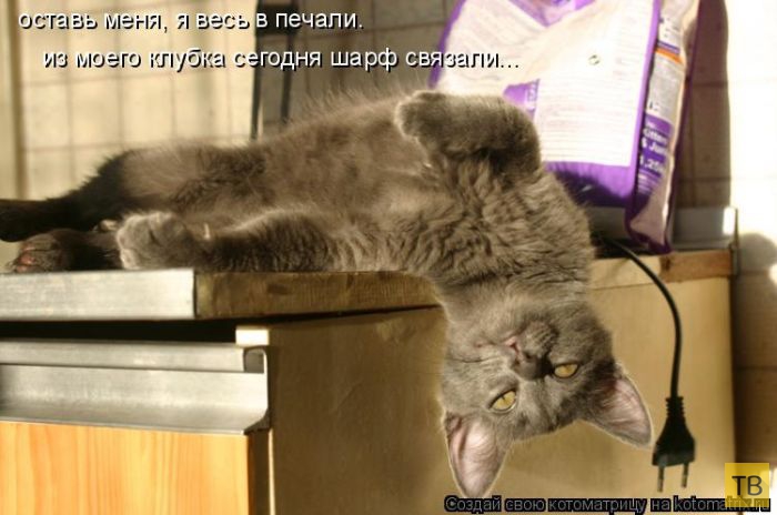 ������ ����������� ������, ����� 2 (51 ����)