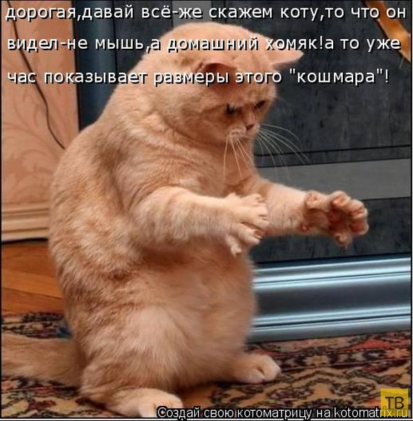 ������ ����������� ������, ����� 2 (51 ����)