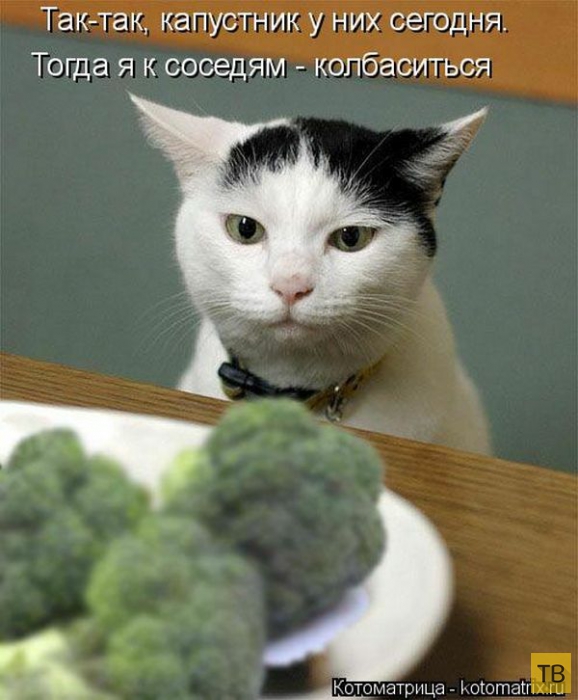 ������ ����������� ������, ����� 2 (51 ����)