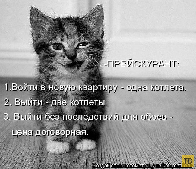 ������ ����������� ������, ����� 2 (51 ����)