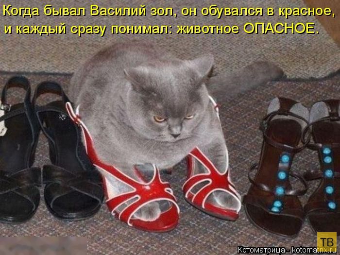 ������ ����������� ������, ����� 2 (51 ����)