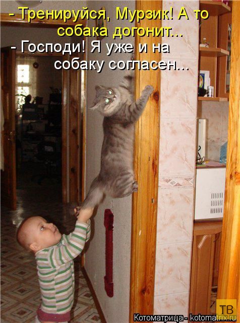 ������ ����������� ������, ����� 2 (51 ����)