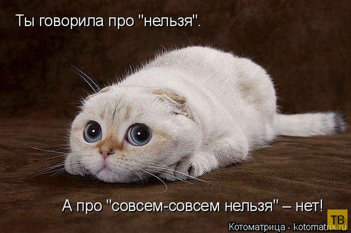 ������ ����������� ������, ����� 2 (51 ����)