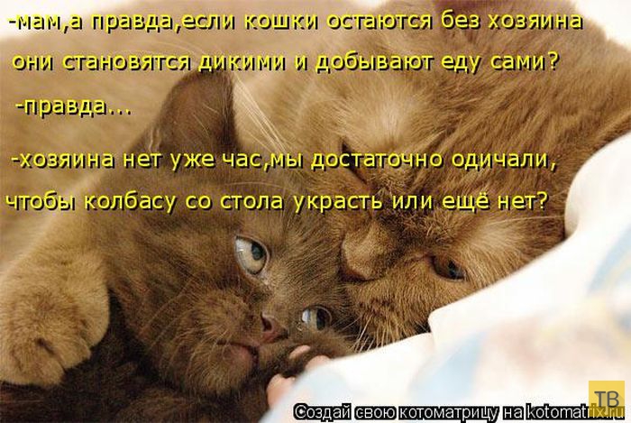 ������ ����������� ������, ����� 2 (51 ����)