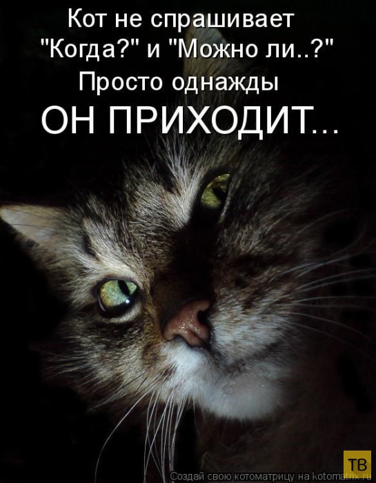 ������ ����������� ������, ����� 2 (51 ����)