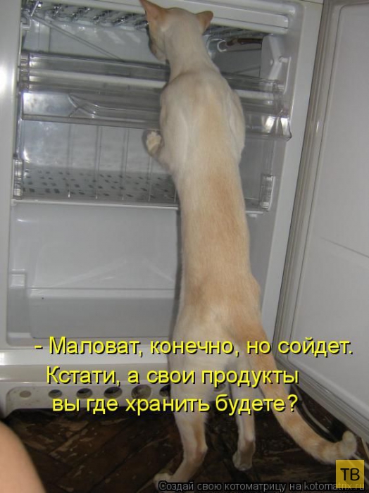 ������ ����������� ������, ����� 2 (51 ����)