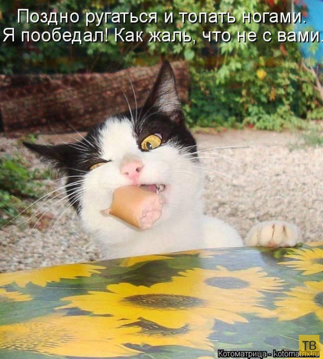 ������ ����������� ������, ����� 2 (51 ����)