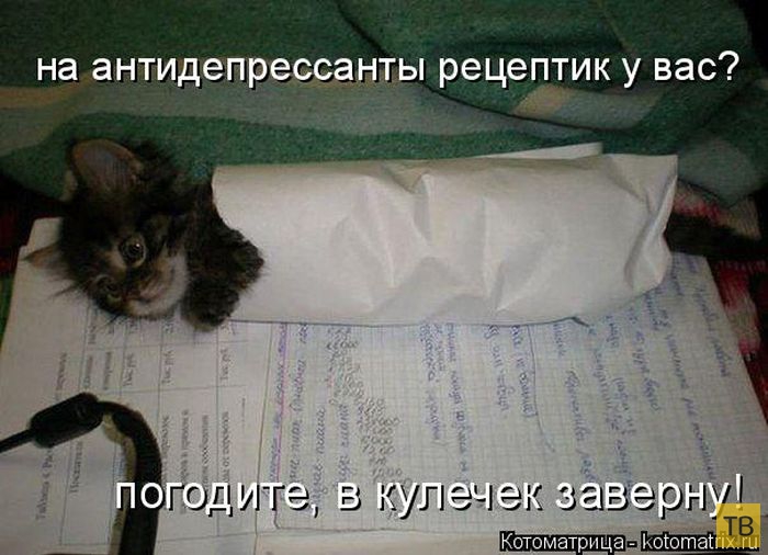 ������ ����������� ������, ����� 2 (51 ����)