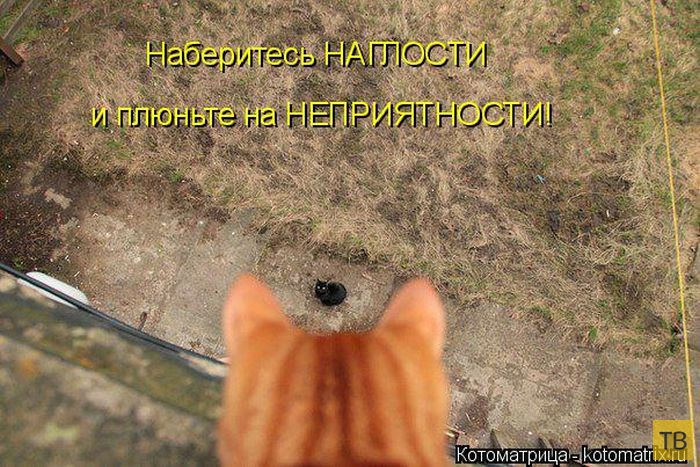 ������ ����������� ������, ����� 2 (51 ����)