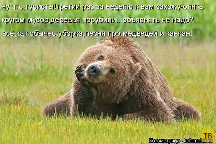 ������ ����������� ������, ����� 2 (51 ����)