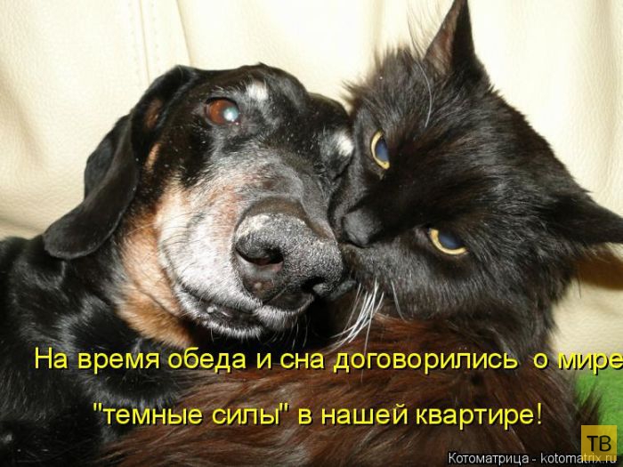 ������ ����������� ������, ����� 2 (51 ����)