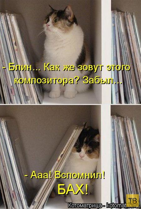 ������ ����������� ������, ����� 2 (51 ����)