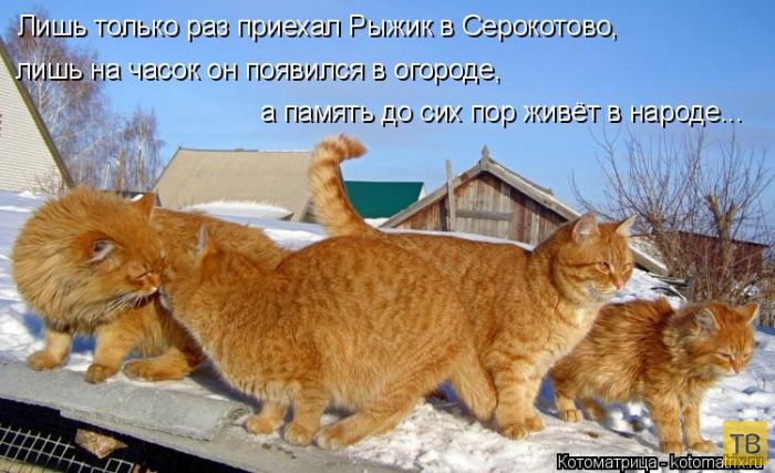 ������ ����������� ������, ����� 2 (51 ����)