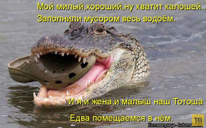 ������ ����������� ������, ����� 2 (51 ����)