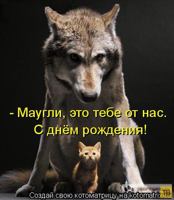 ������ ����������� ������, ����� 2 (51 ����)