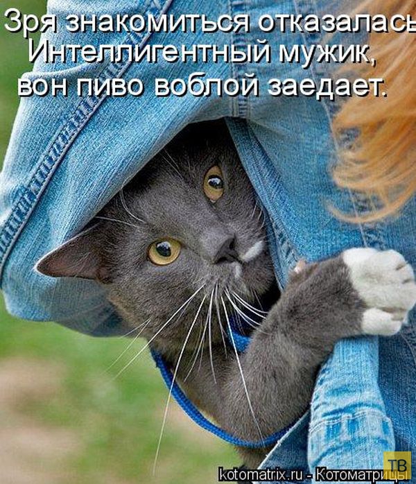 ������ ����������� ������, ����� 2 (51 ����)