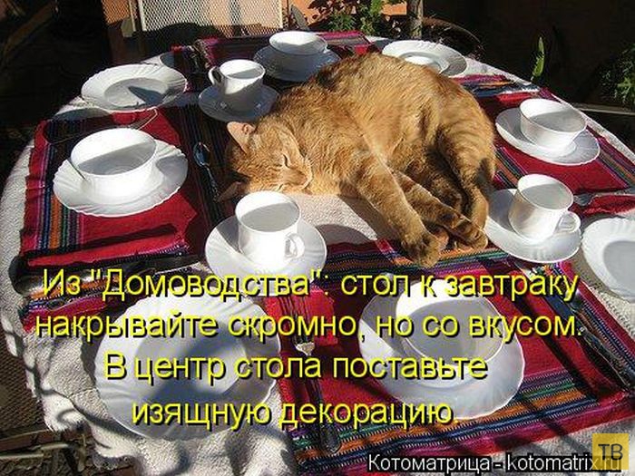 ������ ����������� ������, ����� 2 (51 ����)