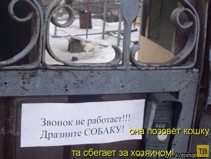 ������ ����������� ������, ����� 2 (51 ����)