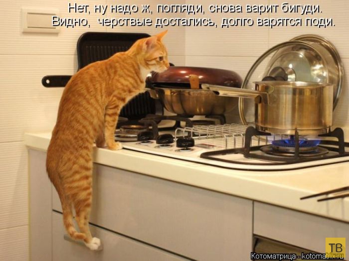 ������ ����������� ������, ����� 2 (51 ����)