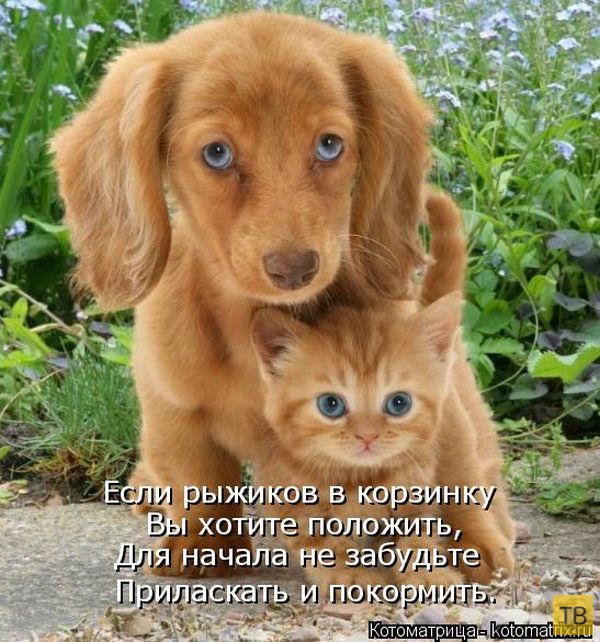 ������ ����������� ������, ����� 2 (51 ����)