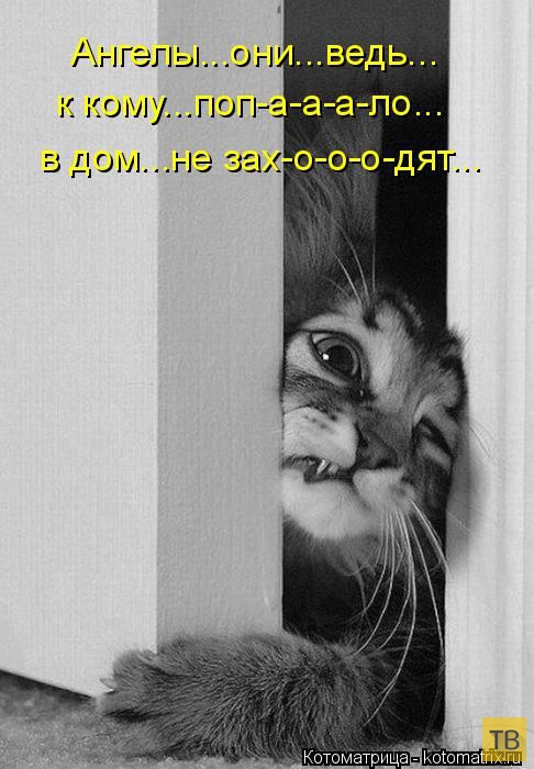 ������ ����������� ������, ����� 2 (51 ����)