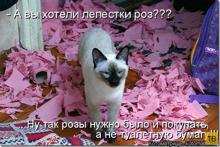 ������ ����������� ������, ����� 2 (51 ����)