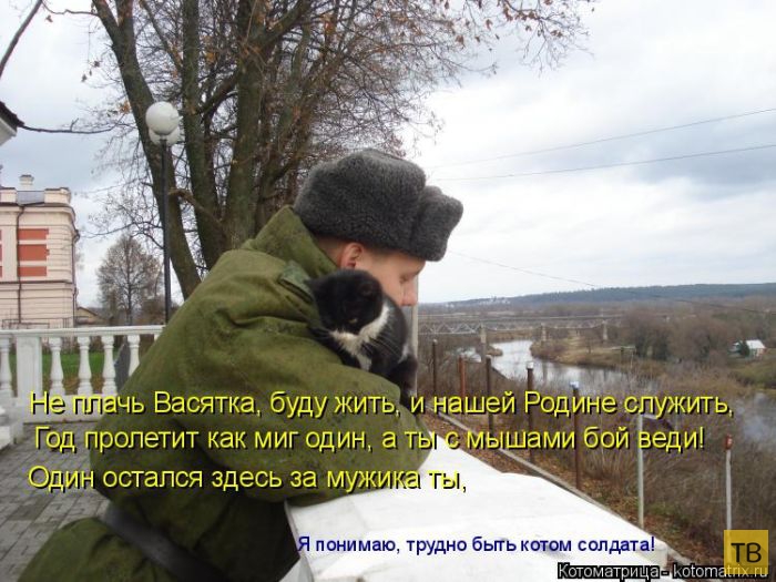 ������ ����������� ������, ����� 2 (51 ����)