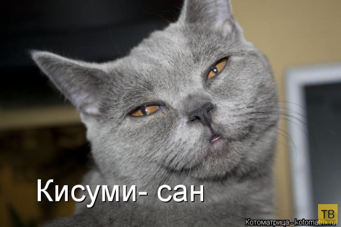 ������ ����������� ������, ����� 2 (51 ����)