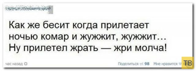 ���������� ����������� �� ���������� �����, ����� 205 (23 ����)