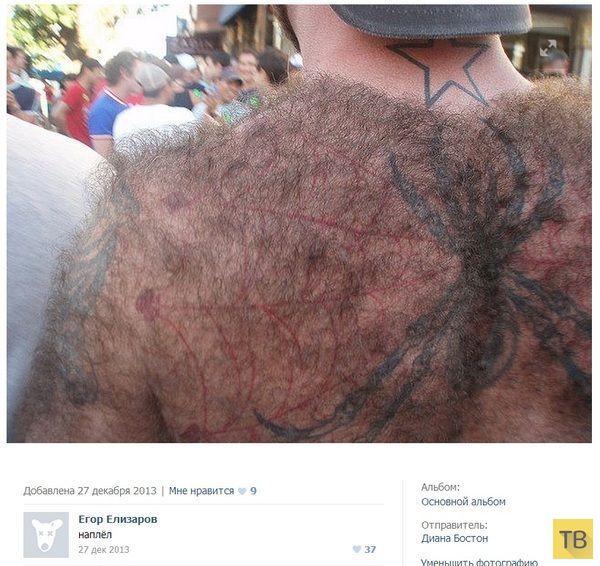 ���������� ����������� �� ���������� �����, ����� 205 (23 ����)