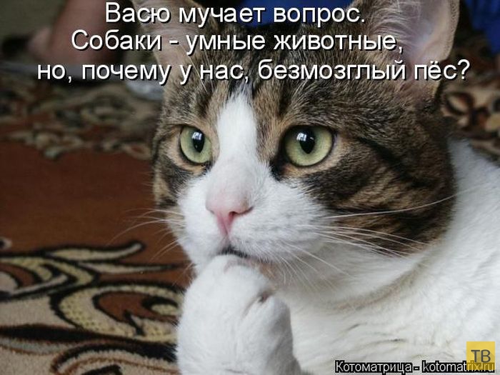 ������ ����������� ������, ����� 12 (50 ����)