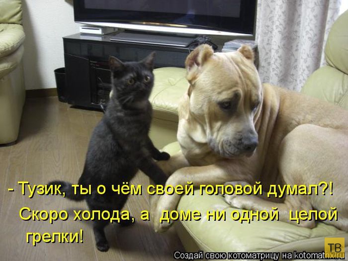 ������ ����������� ������, ����� 12 (50 ����)