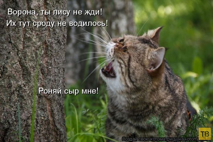 ������ ����������� ������, ����� 12 (50 ����)